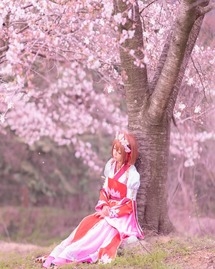 saki-1 (27)