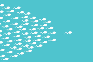 ฝันเปียกคืออะไร-อสุจิ