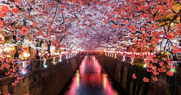 เที่ยวฮาโกเนะ 2026 แช่ออนเซ็น ล่องเรือโจรสลัด ชมวิวฟูจิ และวิธีใช้ Hakone Freepass